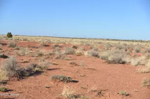 Tbd Hopi Ln, Snowflake, AZ 85937 - Photo 1