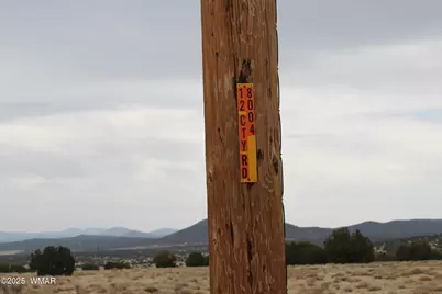 21 &amp; 23 Cr 8004, Concho, AZ 85924 - Photo 18