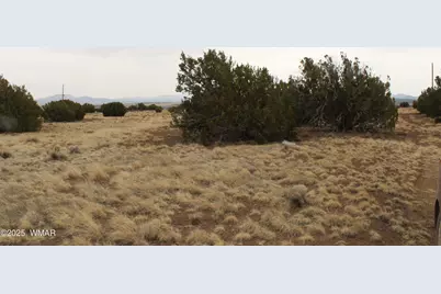 21 &amp; 23 Cr 8004, Concho, AZ 85924 - Photo 20