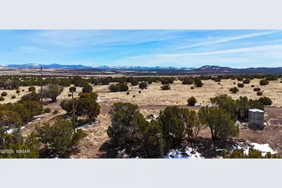 41 Antelope Road, Concho, AZ 85924 - Photo 20