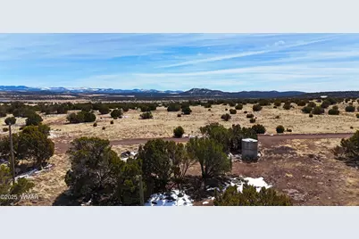 41 Antelope Road, Concho, AZ 85924 - Photo 1