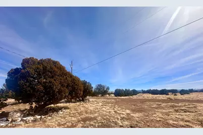 41 Antelope Road, Concho, AZ 85924 - Photo 16