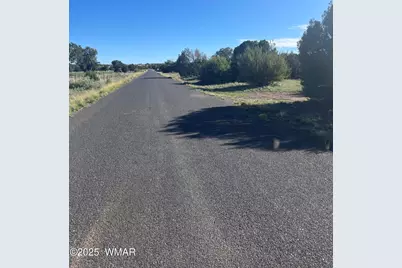 37 Frontage Road, Concho, AZ 85924 - Photo 6