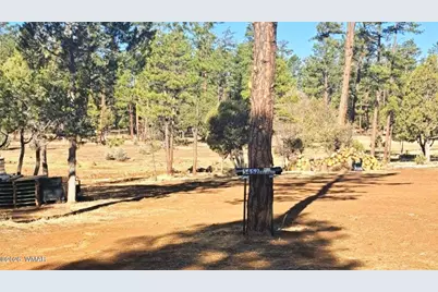 5452 Red Squirrel Lane, Lakeside, AZ 85929 - Photo 2