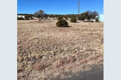 63 Alpine Lane, Concho, AZ 85924 - Photo 2