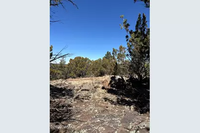 239 Geronimo Dr, Concho, AZ 85924 - Photo 2