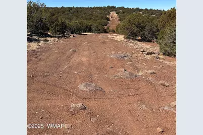 30 County Road, Concho, AZ 85924 - Photo 2