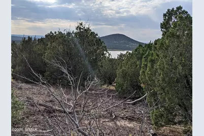 Lot 76 Dolly Drive, Vernon, AZ 85940 - Photo 4