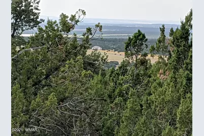 Lot 76 Dolly Drive, Vernon, AZ 85940 - Photo 10