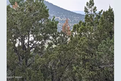Lot 76 Dolly Drive, Vernon, AZ 85940 - Photo 8