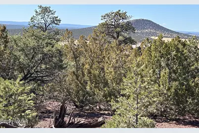 Lot 76 Dolly Drive, Vernon, AZ 85940 - Photo 22