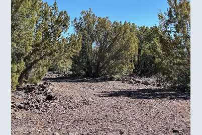 Lot 76 Dolly Drive, Vernon, AZ 85940 - Photo 16