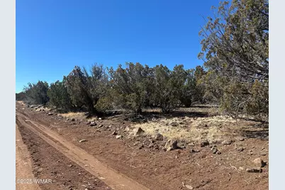 19 County Road 8230, Concho, AZ 85924 - Photo 1