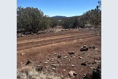 19 County Road 8230, Concho, AZ 85924 - Photo 4