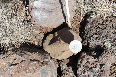 Lot 092C County Road 8238, Concho, AZ 85924 - Photo 16