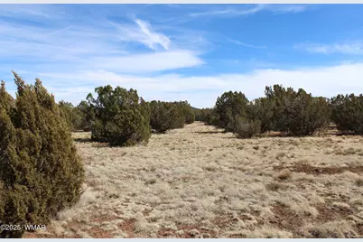 Lot 092C County Road 8238, Concho, AZ 85924 - Photo 1