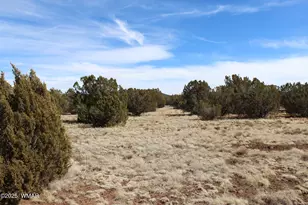 Lot 092C County Road 8238, Concho, AZ 85924 - Photo 1