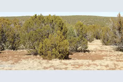 Lot 092C County Road 8238, Concho, AZ 85924 - Photo 10