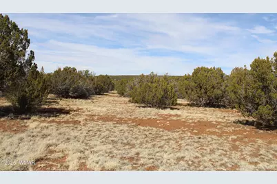 Lot 092C County Road 8238, Concho, AZ 85924 - Photo 14