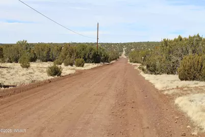 Lot 092C County Road 8238, Concho, AZ 85924 - Photo 18