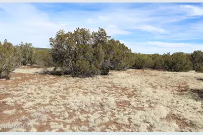 Lot 092C County Road 8238, Concho, AZ 85924 - Photo 12