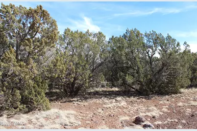 Lot 092C County Road 8238, Concho, AZ 85924 - Photo 2