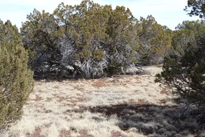 Lot 092C County Road 8238, Concho, AZ 85924 - Photo 8