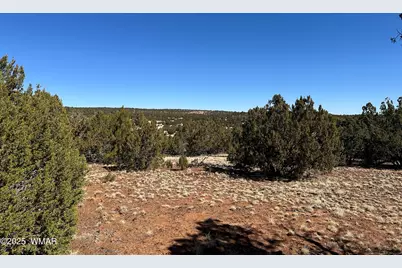 32 County Road 3048, Concho, AZ 85924 - Photo 1