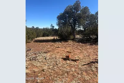 32 County Road 3048, Concho, AZ 85924 - Photo 2