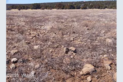 Tbd Show Low Pines, Unit 5 #5, Concho, AZ 85924 - Photo 4