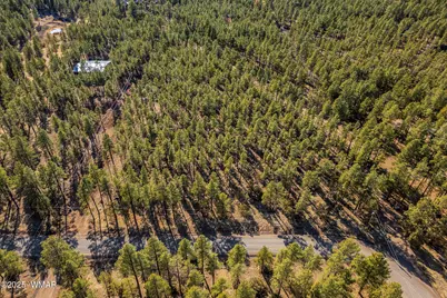 Tbd Wilderness Drive, Lakeside, AZ 85929 - Photo 14