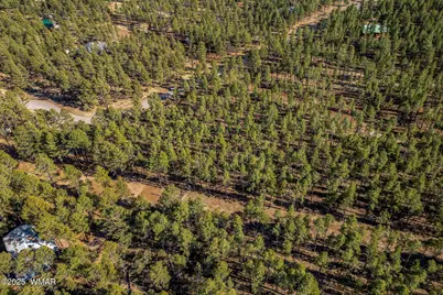 Tbd Wilderness Drive, Lakeside, AZ 85929 - Photo 12