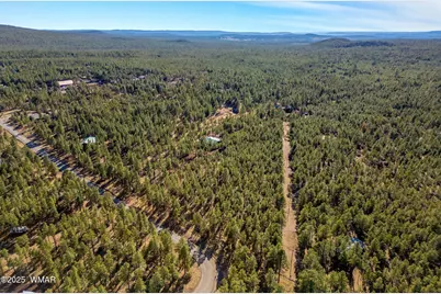 Tbd Wilderness Drive, Lakeside, AZ 85929 - Photo 8