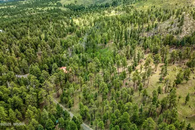 16 N1062, Greer, AZ 85927 - Photo 8