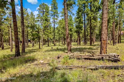 16 N1062, Greer, AZ 85927 - Photo 4