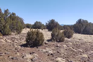 182 Show Low Pines Unit 5, Concho, AZ 85924 - Photo 1