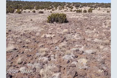 182 Show Low Pines, Unit 5 #5, Concho, AZ 85924 - Photo 2