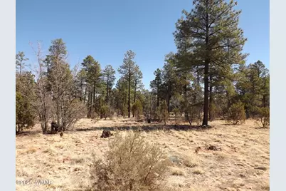 0004Y Parcel 1 Section 31, Overgaard, AZ 85933 - Photo 2