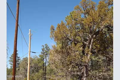 0004Y Parcel 1 Section 31, Overgaard, AZ 85933 - Photo 4