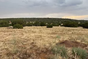 67 Hickory Ln, Concho, AZ 85924 - Photo 1