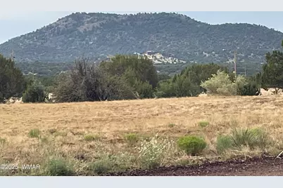 67 Hickory Lane, Concho, AZ 85924 - Photo 4