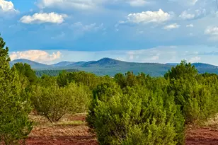 180 Co Rd 3148 Lot #1 2 1 Acres, Vernon, AZ 85940 - Photo 1