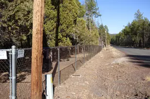 406 W Whispering Pines Ln, Pinetop, AZ 85935 - Photo 54