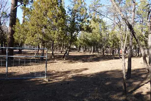 406 W Whispering Pines Ln, Pinetop, AZ 85935 - Photo 44
