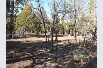 406 W Whispering Pines Lane, Pinetop, AZ 85935 - Photo 46