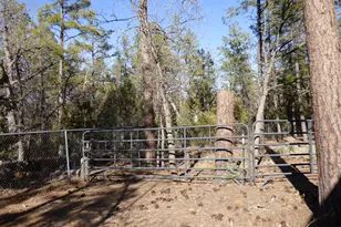 406 W Whispering Pines Ln, Pinetop, AZ 85935 - Photo 52