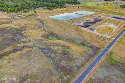 Tbd Alpine Unsubdivide, Alpine, AZ 85920 - Photo 12