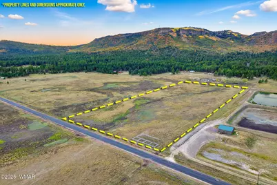 Tbd Alpine Unsubdivide, Alpine, AZ 85920 - Photo 1