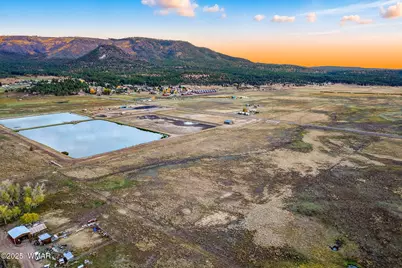 Tbd Alpine Unsubdivide, Alpine, AZ 85920 - Photo 10