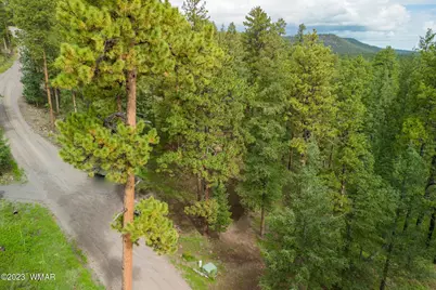 29 N1068, Greer, AZ 85927 - Photo 4